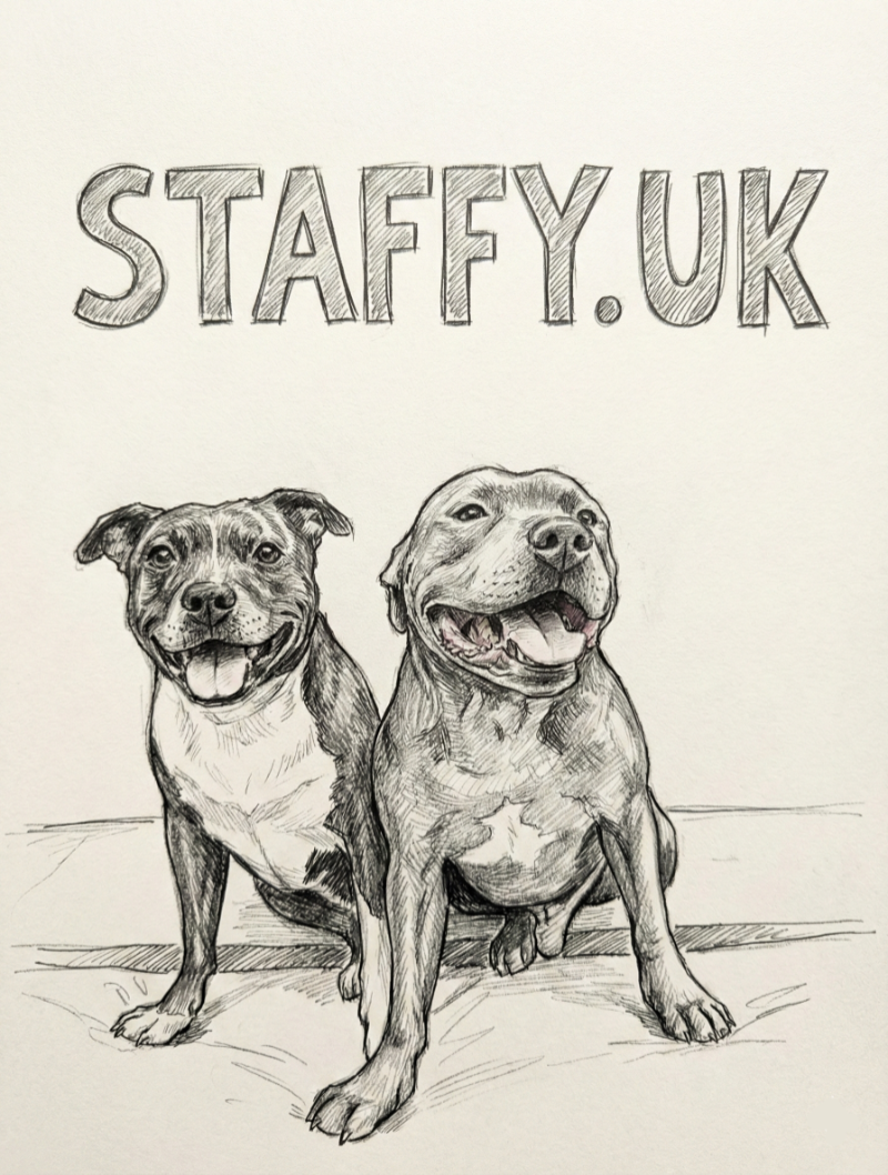 Two Staffordshire Bull Terriers — Staffy.uk